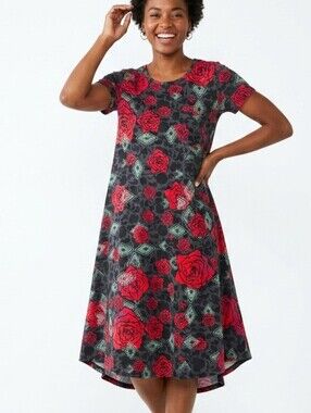 LuLaRoe Floral Rose Carly Dress